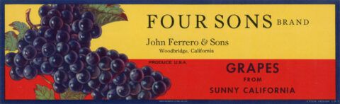 Four Sons